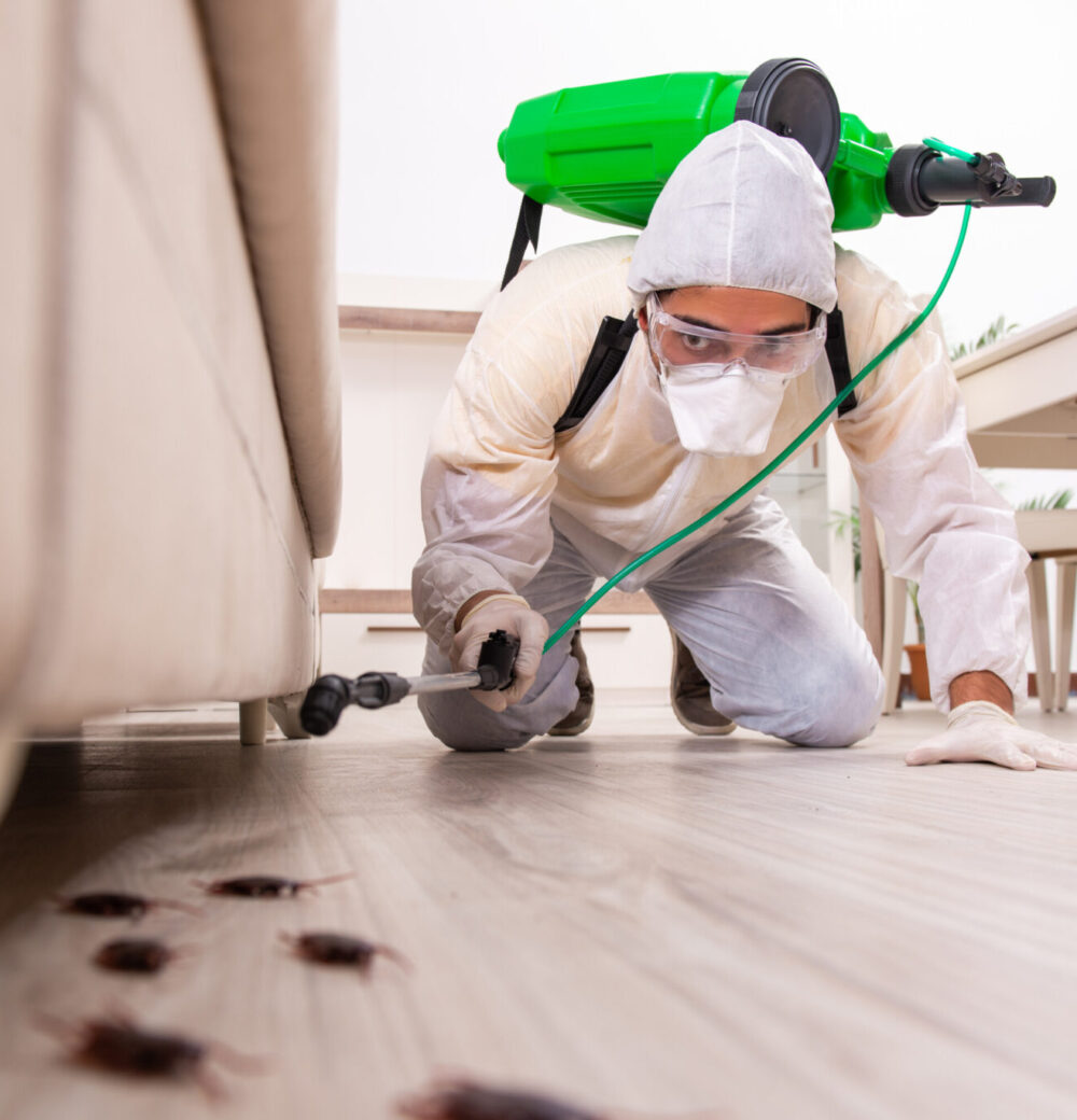 Discreet Bed Bug Services Near Me That Protect Your Privacy